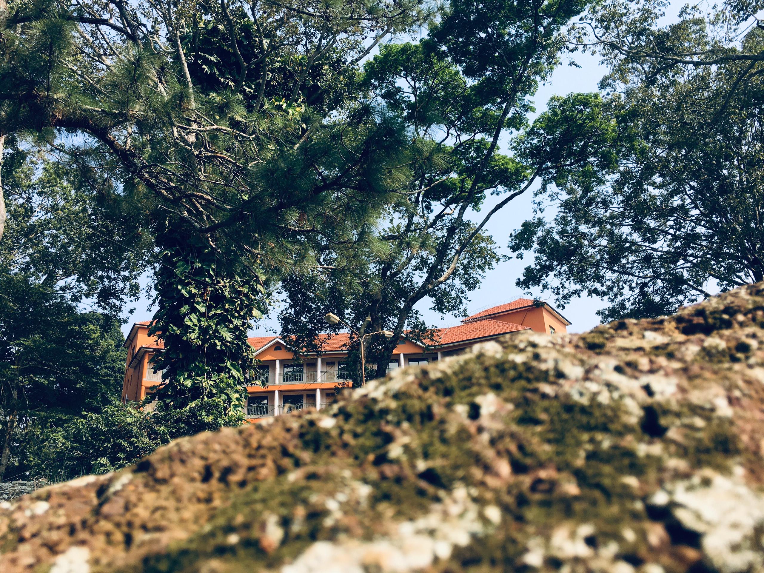 WhatsApp Image 2024-09-07 at 18.52.38_a6100ca4