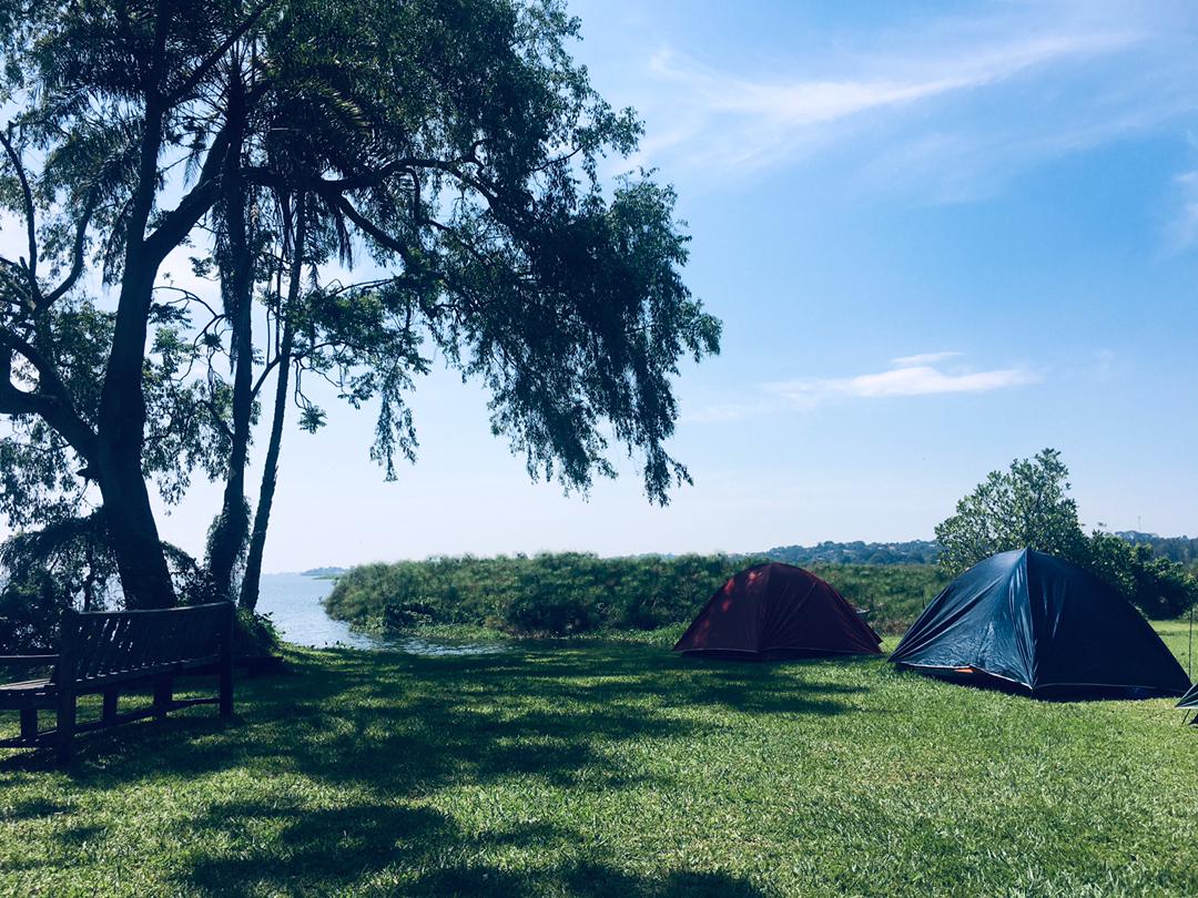 WhatsApp Image 2025-05-27 at 14.59.00_b8d2c420