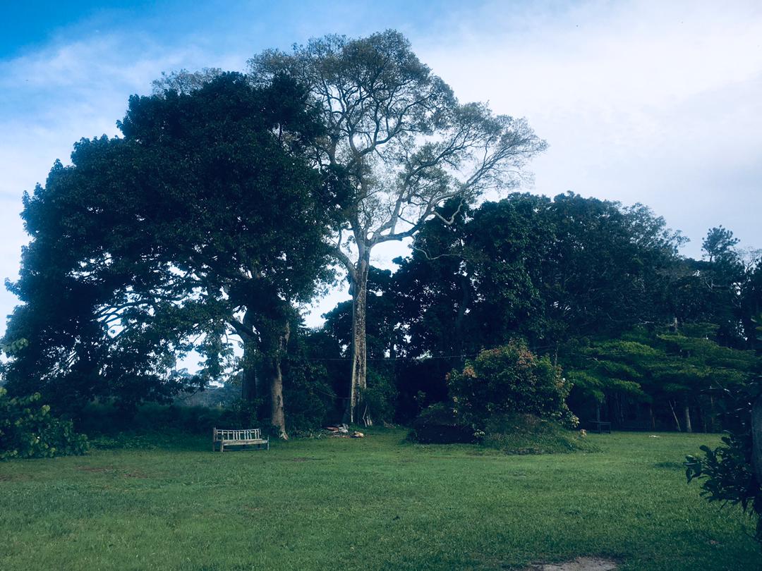 WhatsApp Image 2025-05-27 at 14.59.01_be79412f