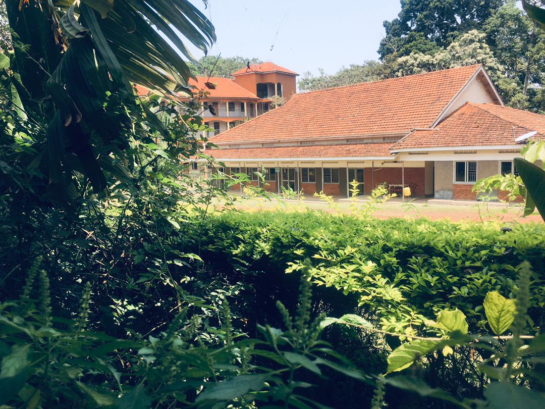 WhatsApp Image 2025-05-27 at 15.34.58_e89fb496